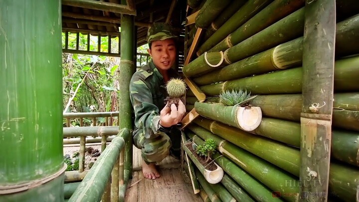 Live with nature | Sống với thiên nhiên tập 10 , trang trí căn nhà , làm vườn rau