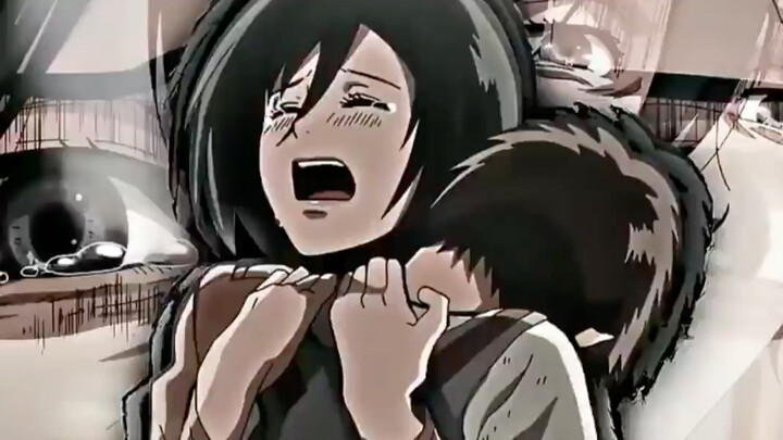 Mikasa dan Ellen