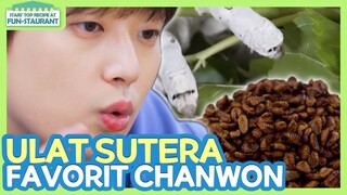 [IND/ENG] Berani coba?! Pupa ulat sutera favorit #Chanwon 🐛 | Fun-Staurant | KBS WORLD TV 230203