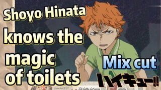 [Haikyuu!!]  Mix cut | Shoyo Hinata knows the magic of toilets