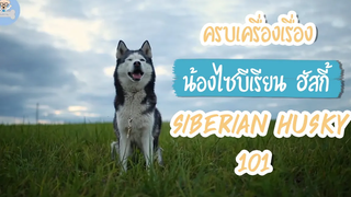 ไซบีเรียน ฮัสกี ครบเครื่องเรื่องน้องไซบีเรียน ฮัสกี Siberian Husky 101 SudPad-Dog