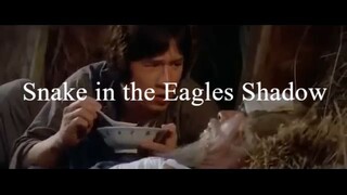 ʀᴀᴅᴢ ᴘʜ Tagalog DUB | SD: Snake in the Eagles Shadow (1978)