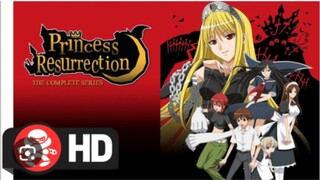 Princes resurrection Season. 2 Tagalog Dub