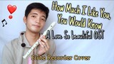 A LOVE SO BEAUTIFUL OST- How Much I Like You, You Would Know Flute Recorder Cover Letter Notes