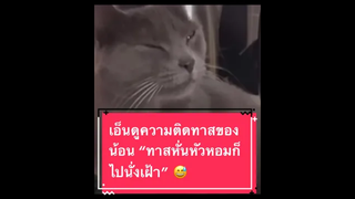 เอ็นดูน้อนนน 🤭😅