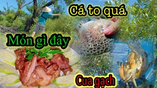 Thử Thách | Câu Bằng Chai Nước và Cái kết | Món Ăn Bất Ngờ Từ Chuột Đồng #T8 #NguyenvoTV