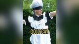 Gojo Cat anime jujutsukaisen itadoriyuuji gojo manga fy