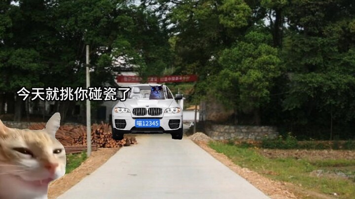 没监控你还敢碰瓷？