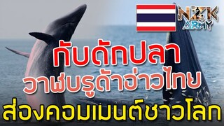 ส่องคอมเมนต์ชาวโลก-เมื่อเห็นภาพเหตุการณ์วาฬวางกับดักปลาในอ่าวไทย