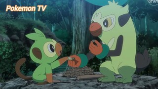 Pokemon (Short Ep 101) - Nhịp điệu Bachinkey #pokemon