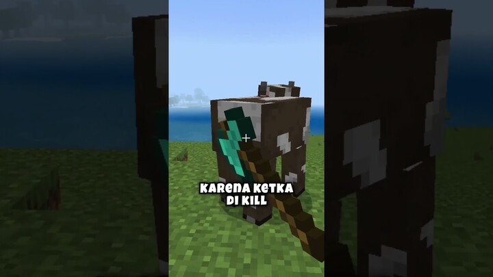 Mob Yang Paling ANEH Di Minecraft