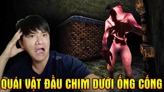 Bị Bắt Cóc Nhốt Dưới Cống Cùng Quái Vật Đầu Chim Chuyên Bẻ Cổ Gà