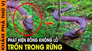 🔥 7 Cảnh Tượng Siêu Kỳ Lạ Về Sinh Vật Bí Ẩn Xuất Hiện Được Ghi Lại Khiến Người Xem Sửng Sốt | KPTV