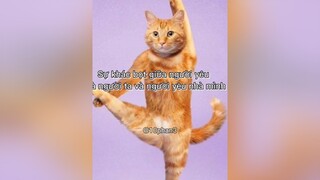 yêu nhau xin hãy nhẹ nhàng với nhau 🤦mèous mèocute mèo cat catlover meow meo meomeo