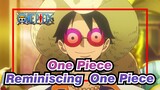 [One Piece/Mixed Edit] Reminiscing One Piece
