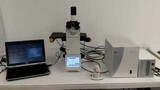 Leica DMi8 Widefield Live Cell Time Lapse Motorized Fluorescence Microscope [BOSTONIND] - 14560