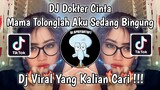DJ MAMA TOLONGLAH AKU SEDANG BINGUNG | DJ DOKTER CINTA ELY SYAHREZA VIRAL TIK TOK TERBARU 2024 !