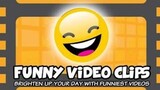 Funny Video Clips Compilation