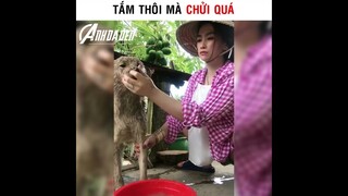 Tắm Thôi Mà Chửi Quá