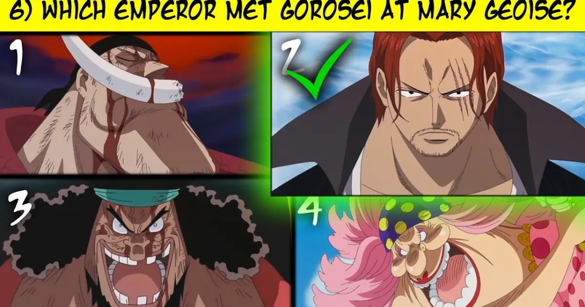 10 Hardest Questions From One Piece 18 What Is Your Power Level Bilibili
