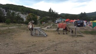 Crimea_Núi Ai petri_Nơi có cây cầu đáng sợ nhất thế giới_ 3