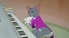 Tom and Jerry | Buddies and Lifes Compilation