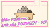 [Mèo Pusheen] Tất cả về anh của PUSHEEN - PIP