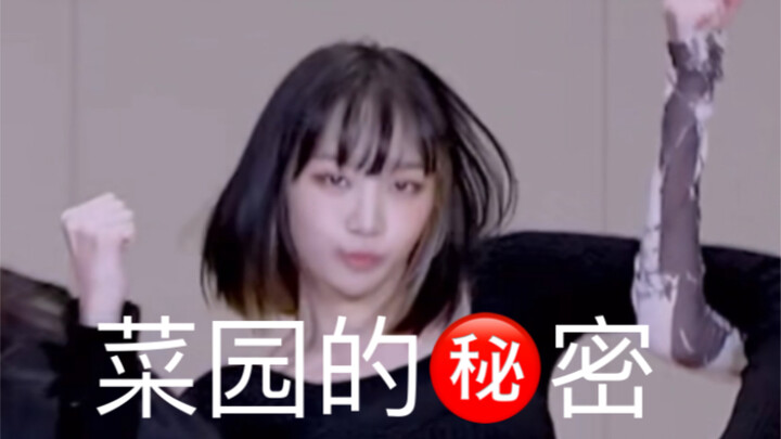 报告！菜园练习室偷偷挠pp