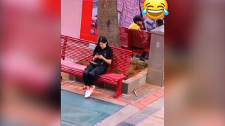 Troll người đi đường và cái kết