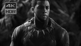 [Phim ảnh] Tưởng nhớ "Chiến binh báo đen" Chadwick Boseman