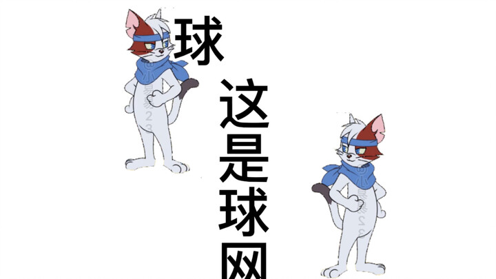 猫鼠10月沙滩排球现状