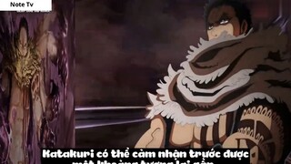 Top 8 Trái Ác Quỷ Đã _Thức Tỉnh_ Trong One Piece #20- 10