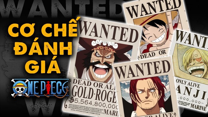 Những Sự Thật Thú Vị Về Lệnh truy nã - Liệu Bạn Đã Biết Cơ Chế Đánh Giá Lệ Truy Nã Trong One Piece ?