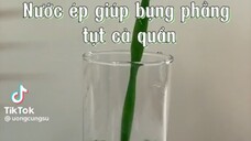 Nước ép giúp bụng phẳng tụt cả quần