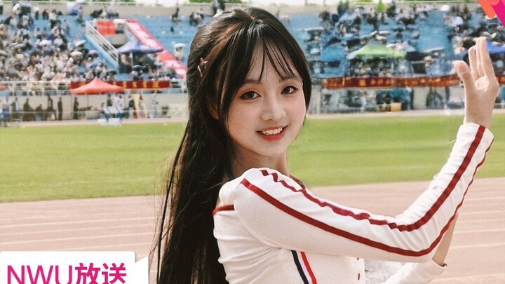 อะไร ที่มหาวิทยาลัยนอร์ทเวสเทิร์นมีทัวร์ไอดอลไหมคะ?