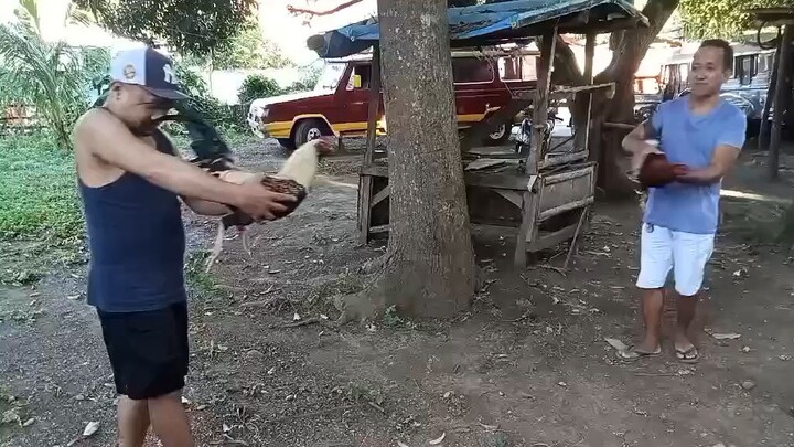 pang ka*ay na nanalo pa ng walang sugat