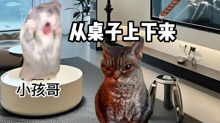 เมื่อเด็กฮ่องกงถูกพาไปเที่ยวเซินเจิ้น