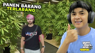 Panen Barang Haram - GTA 5 Roleplay