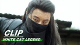 Li Bing Encounters a Killer | White Cat Legend EP24 | 大理寺少卿游 | iQIYI