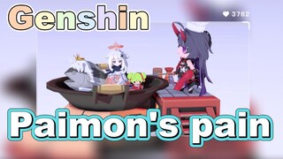 Paimon's pain