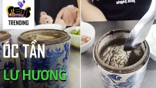 Có ai dám ăn món 'óc tần lư hương' này không ?