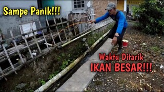 GAK NYANGKA!! Mancing Di Selokan Kecil Depan Rumah Orang BANYAK IKANNYA!!