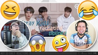 Stray Kids radiating sibling energy | NSD REACTION