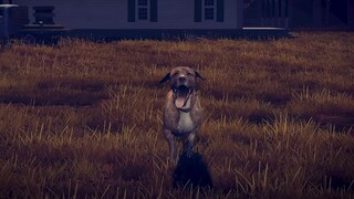 Into the Dead 2 Trailer