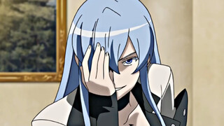 Hunter Troops' First Meeting Who do you think your leader is? It's General Esdeath!!