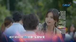 The Seed Of Love: (Week 12)