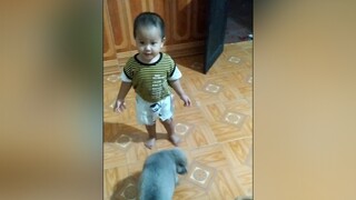 Yêu 3 ae tớ ko ạ? yeucho yeuchomeo cún cúncon chó chómèo chócon chó_cưng chókhôn yeuchomeo cưng chócute pet dog dogsoftiktok doggo