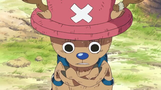 Chopper: ฉันฝึกปรุงยามาหลายปีแล้ว และฉันก็ควรจะดูความจำเสื่อมของตัวเองด้วย