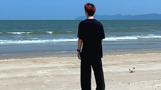 有没有人听过海螺的故事