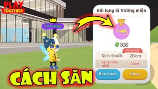 Tiết Lộ Thời Gian + Địa Điểm + Bóng Mấy ??? Săn Cá Mới | Play Together